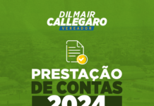 Prestação de contas 2024